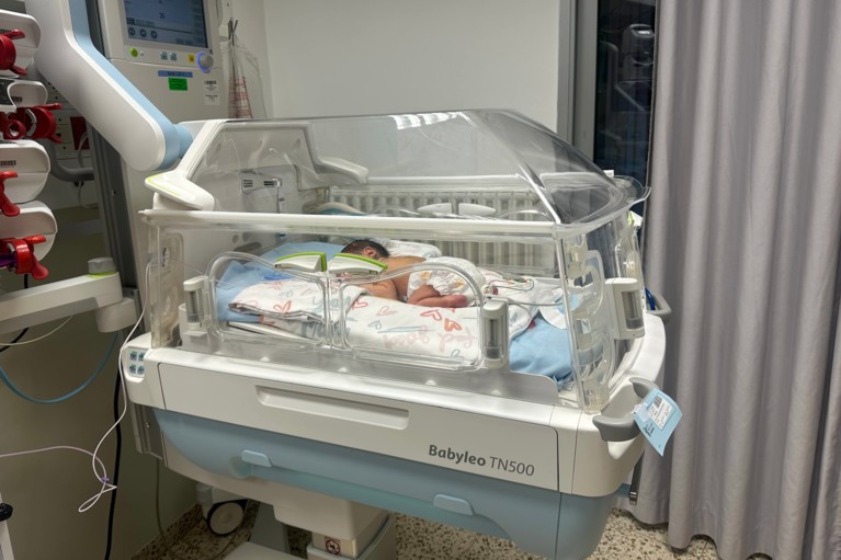 Ein geschützter Start ins Leben Ein geschützter Start ins Leben